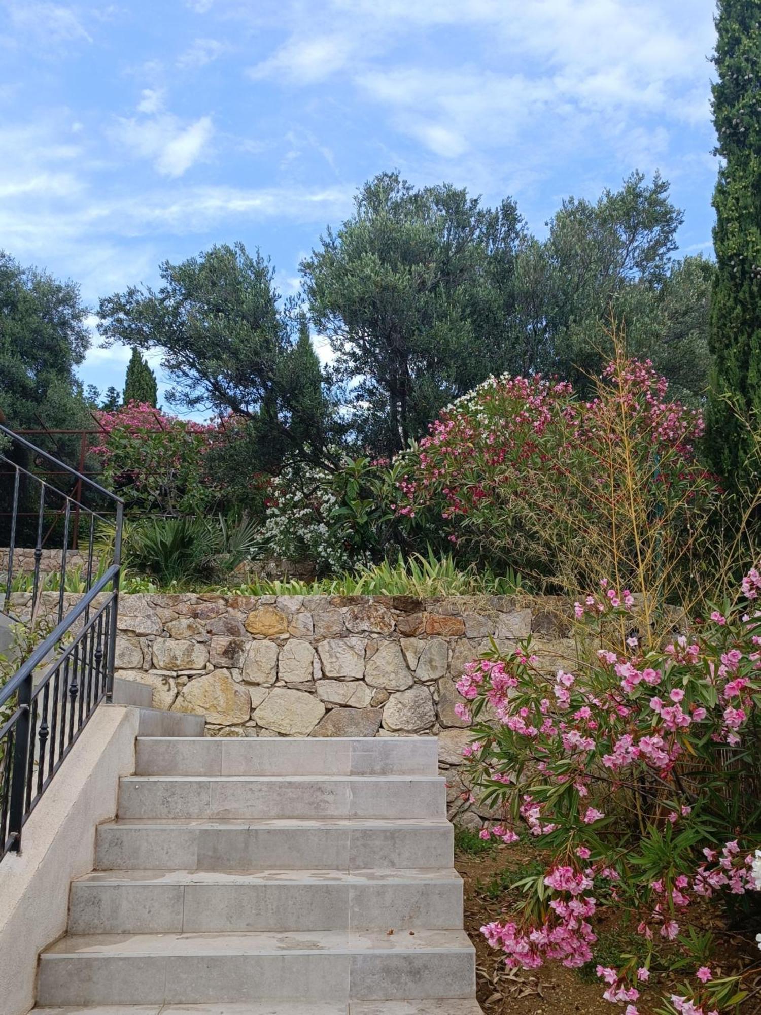 L'aloha De Charme Au Coeur De Avec Vue Panoramique * Fayence